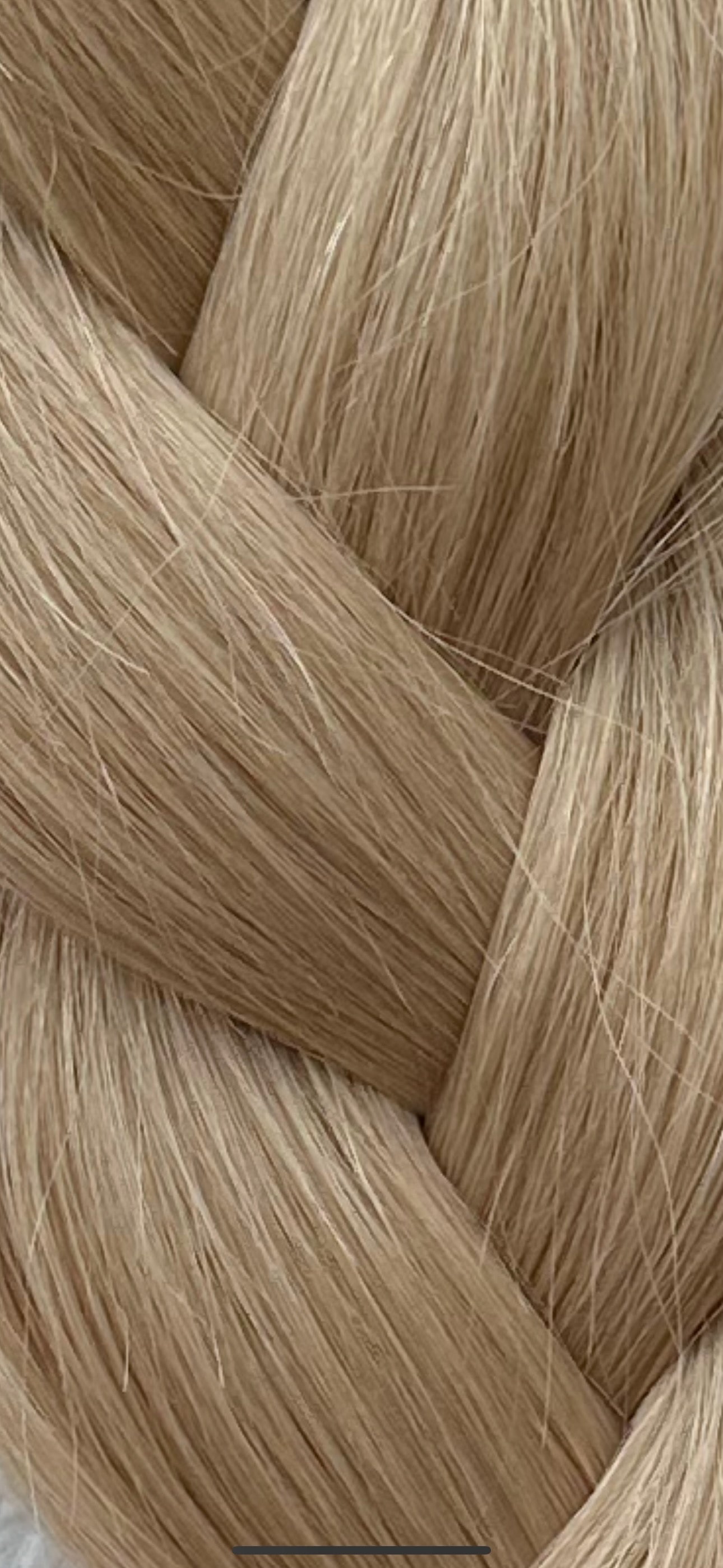 LN22 Champagne — Beige Blonde (Level 22) 22" 50g